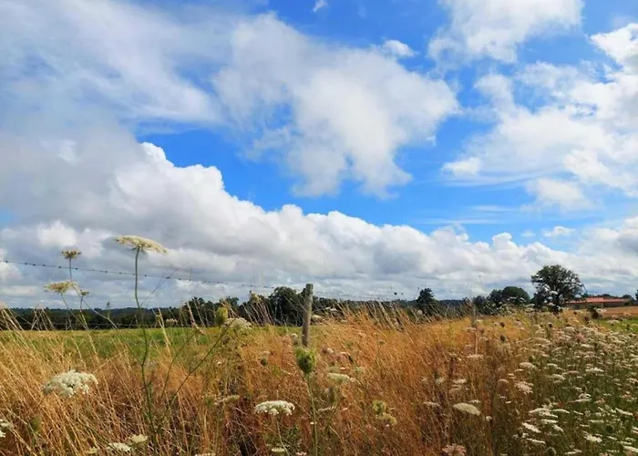 Сasa de vacaciones Romantic Tower In Dordogne With Rooftop Terrace *