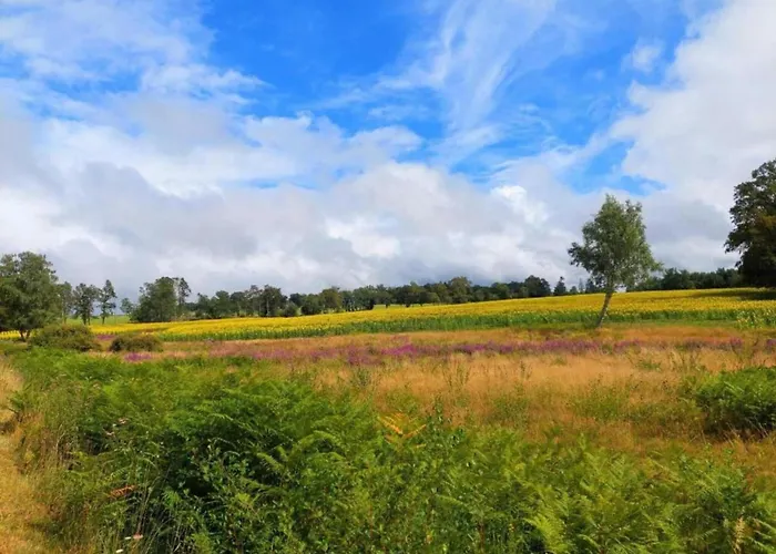 Romantic Tower In Dordogne With Rooftop Terrace