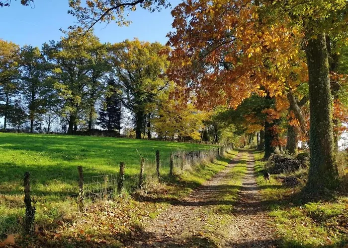 Romantic Tower In Dordogne With Rooftop Terrace Roussines